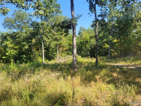 Tiny photo for 237 Jerry Miller Lane, Silex, MO 63377 (MLS # 26056797)
