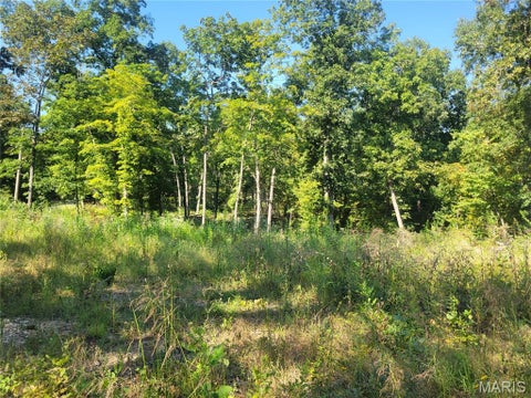 Tiny photo for 237 Jerry Miller Lane, Silex, MO 63377 (MLS # 26056797)