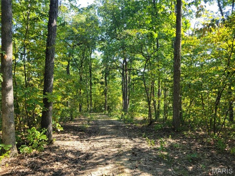 Tiny photo for 237 Jerry Miller Lane, Silex, MO 63377 (MLS # 26056797)