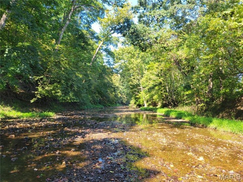 Tiny photo for 237 Jerry Miller Lane, Silex, MO 63377 (MLS # 26056797)
