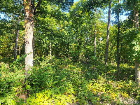 Tiny photo for 237 Jerry Miller Lane, Silex, MO 63377 (MLS # 26056797)