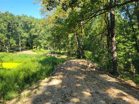 Tiny photo for 237 Jerry Miller Lane, Silex, MO 63377 (MLS # 26056797)