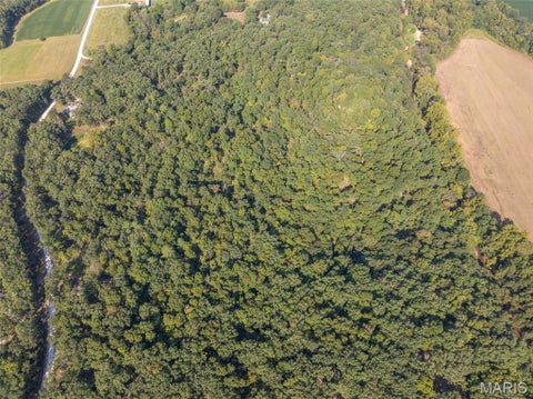 Tiny photo for 237 Jerry Miller Lane, Silex, MO 63377 (MLS # 26056797)