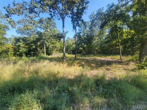 Tiny photo for 237 Jerry Miller Lane, Silex, MO 63377 (MLS # 26056797)