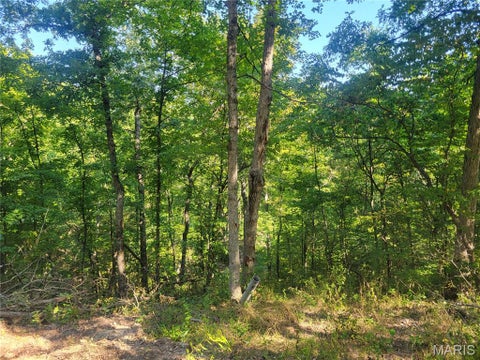 Tiny photo for 237 Jerry Miller Lane, Silex, MO 63377 (MLS # 26056797)