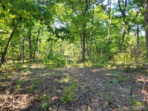 Tiny photo for 237 Jerry Miller Lane, Silex, MO 63377 (MLS # 26056797)