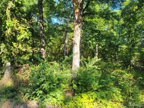 Tiny photo for 237 Jerry Miller Lane, Silex, MO 63377 (MLS # 26056797)