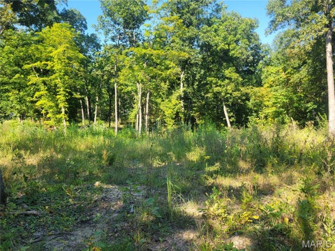 Tiny photo for 237 Jerry Miller Lane, Silex, MO 63377 (MLS # 26056797)