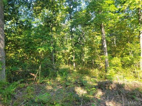 Tiny photo for 237 Jerry Miller Lane, Silex, MO 63377 (MLS # 26056797)