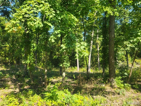 Tiny photo for 237 Jerry Miller Lane, Silex, MO 63377 (MLS # 26056797)