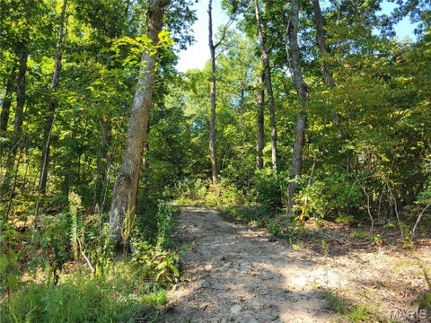 Tiny photo for 237 Jerry Miller Lane, Silex, MO 63377 (MLS # 26056797)