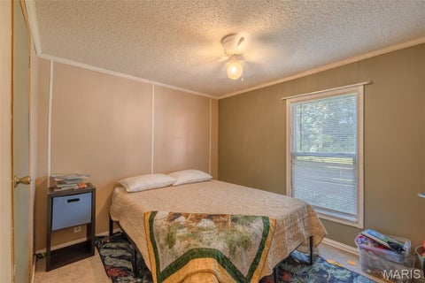 Tiny photo for 237 Jerry Miller Lane, Silex, MO 63377 (MLS # 26056797)