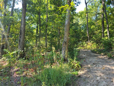 Tiny photo for 237 Jerry Miller Lane, Silex, MO 63377 (MLS # 26056797)