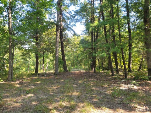 Tiny photo for 237 Jerry Miller Lane, Silex, MO 63377 (MLS # 26056797)