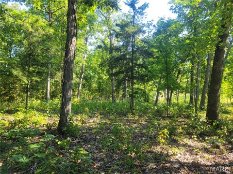 Tiny photo for 237 Jerry Miller Lane, Silex, MO 63377 (MLS # 26056797)