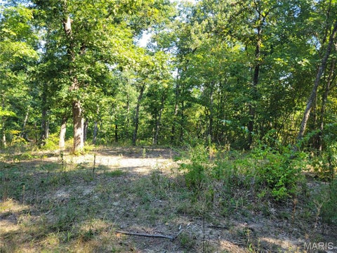 Tiny photo for 237 Jerry Miller Lane, Silex, MO 63377 (MLS # 26056797)