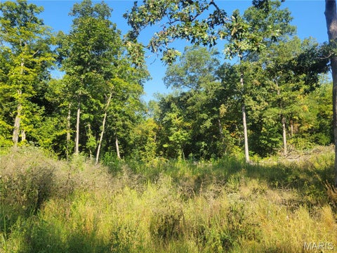 Tiny photo for 237 Jerry Miller Lane, Silex, MO 63377 (MLS # 26056797)