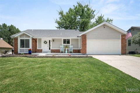 46 Shadowridge Drive St Peters MO 63376