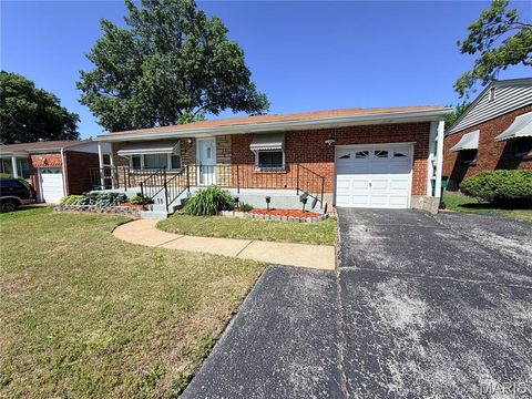 9233 Edna Street Riverview MO 63137