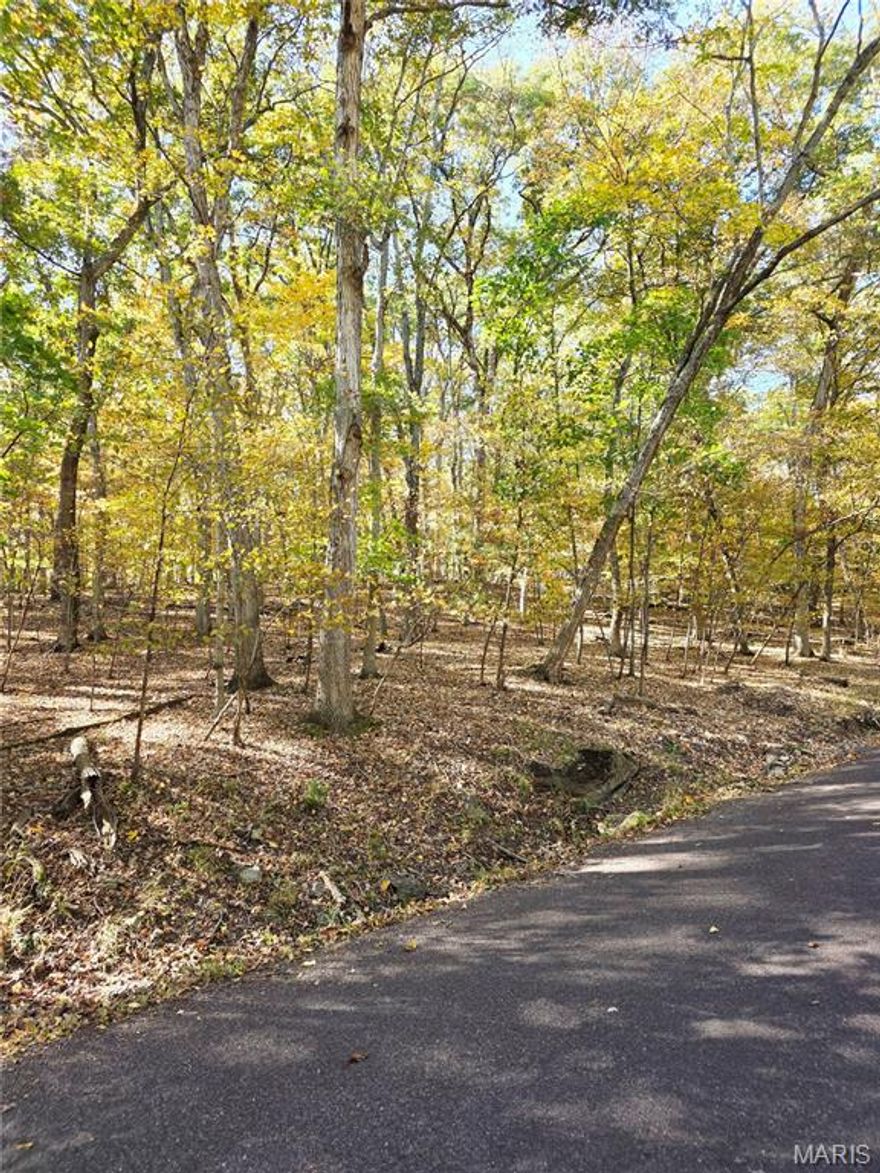 This lot in the private, gated community of Lake Sherwood Estates is the perfect spot if you're looking for all the amenities this development has to offer! With no requirements to build, use this for access to any of the SIX lakes, beach, Marina, community pool, campground, parks, clubhouse with Lakeside Grill, and 24-hr. gated/staffed security! Located in Marthasville, you're within a 15 minute drive to I-70, Washington, and Augusta - right in the heart of Missouri's wine country! Realtor must accompany all showings; come take a tour today!