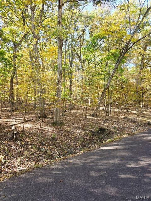 496 S Lake Sherwood Drive Marthasville MO 63357