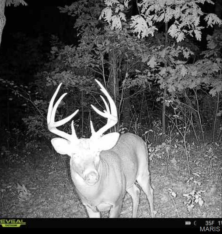 Chaparral - Residential