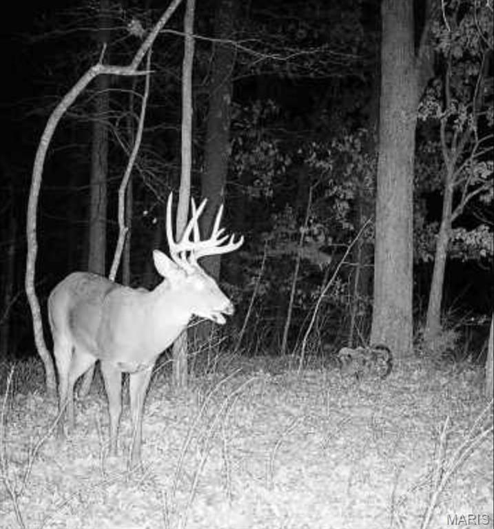 Chaparral - Residential