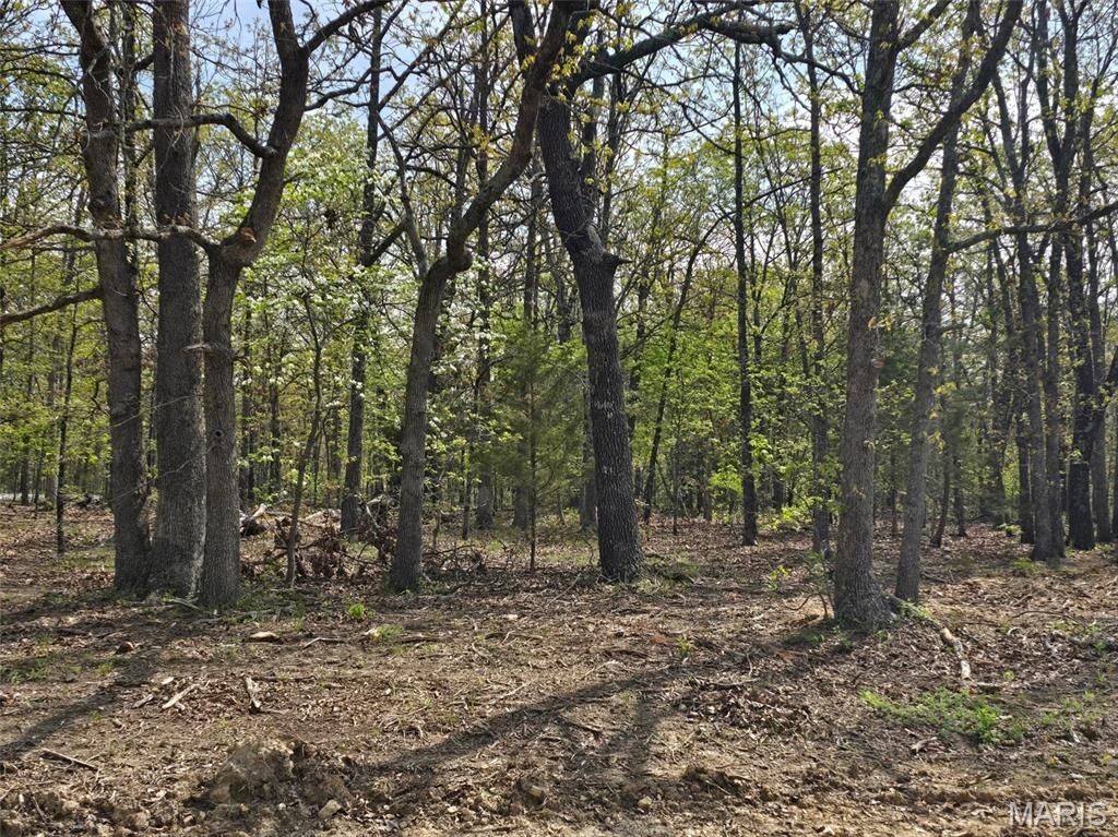 Photo of Tract L Greatview Lane, Lebanon, MO 65536 (MLS # 26019776)