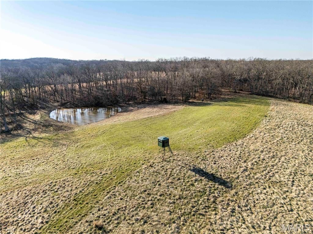 Photo of 00 Pike 273, Louisiana, MO 63353 (MLS # 26014118)