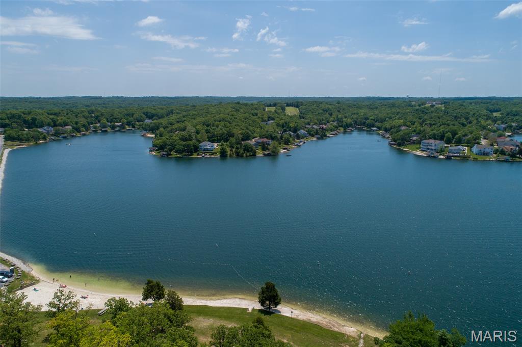 Raintree Forest - Land