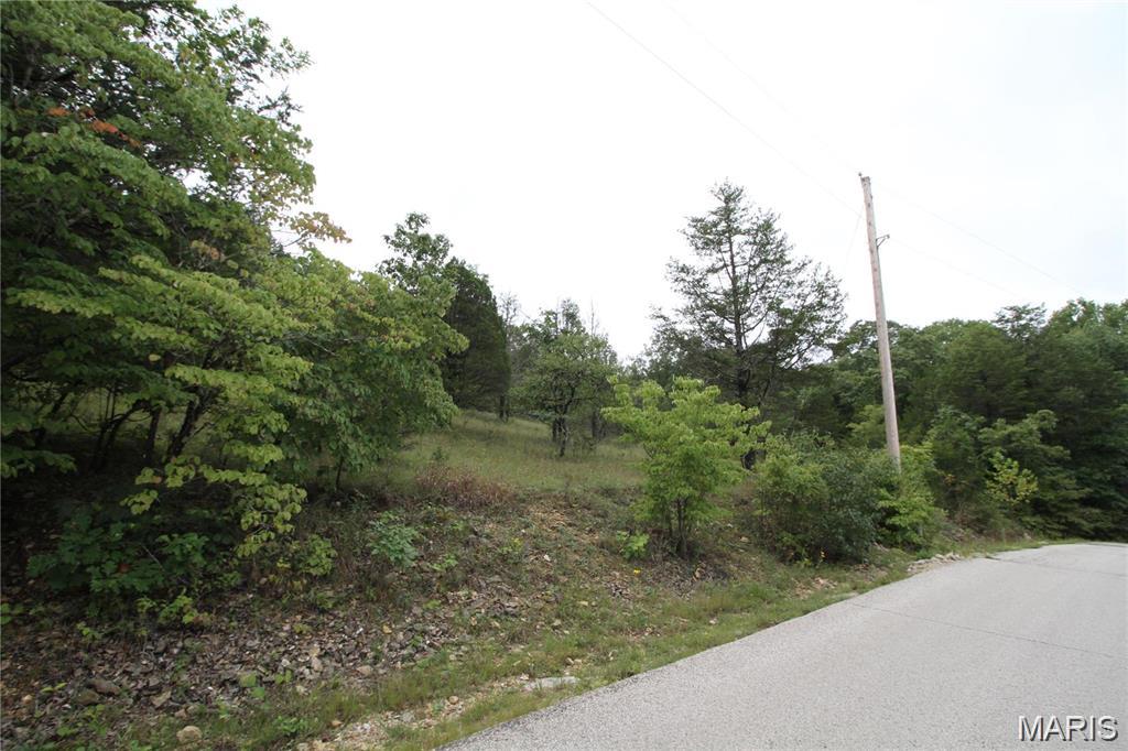 Raintree Forest - Land