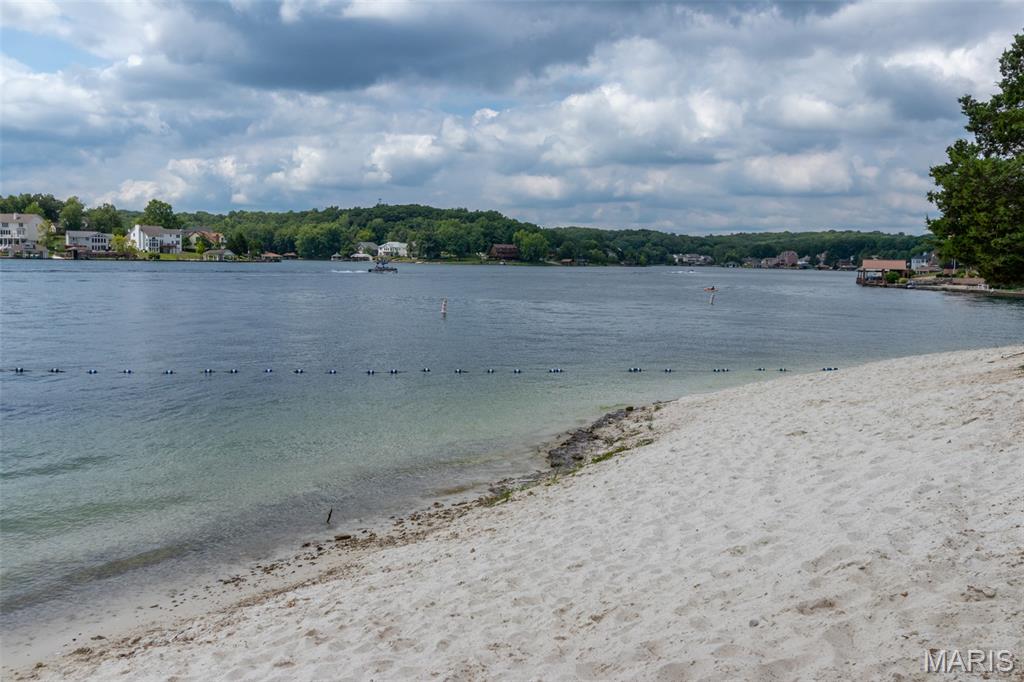 Raintree Forest - Land