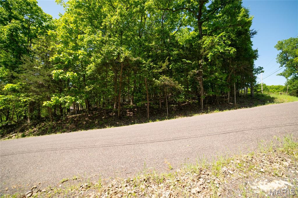 Lake Sherwood Estates - Land