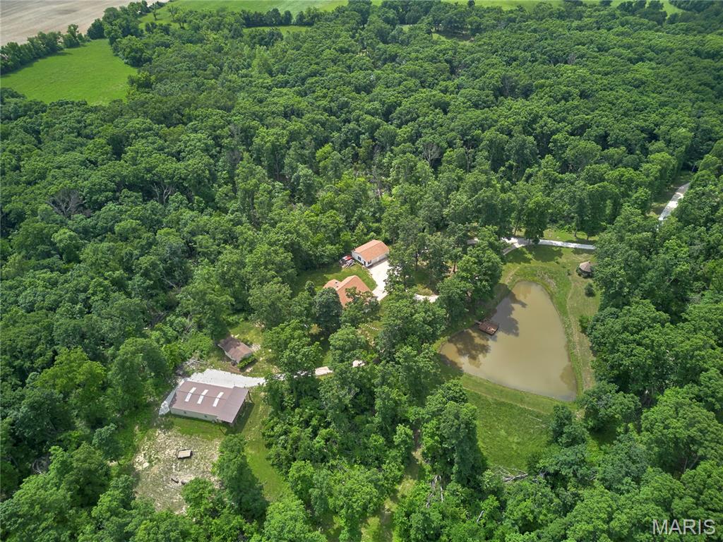 299 Heady Spring Lane