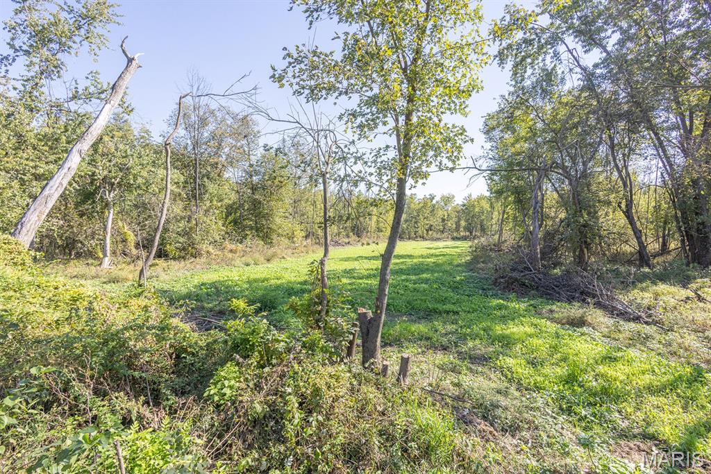 Photo of 1123 Monroe Road, Madison, MO 65263 (MLS # 26067757)