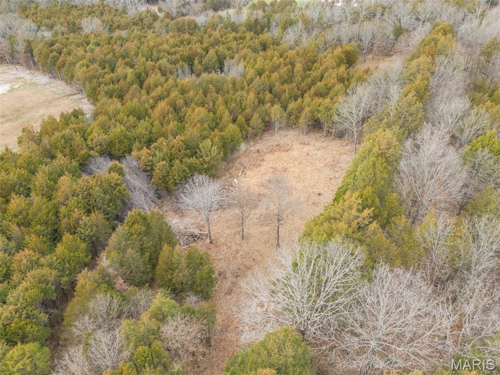 Cedr/Bent Crk - Land