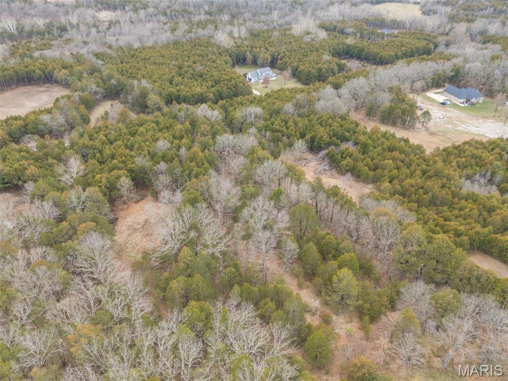 Cedr/Bent Crk - Land