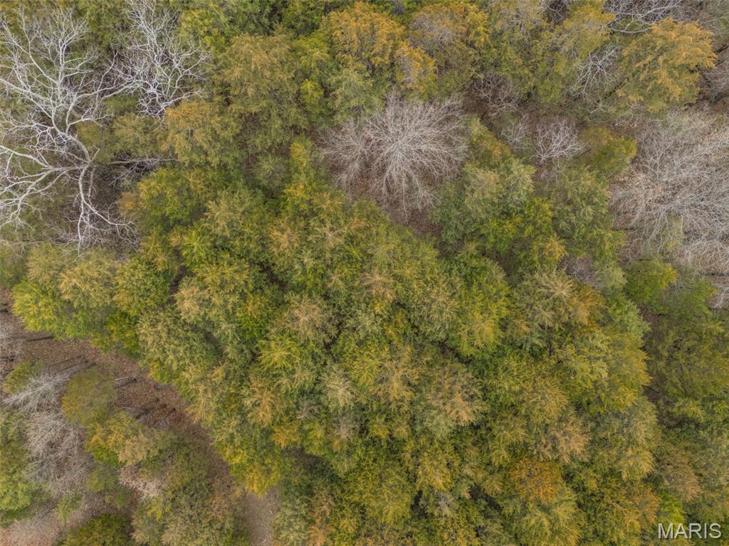 Cedr/Bent Crk - Land