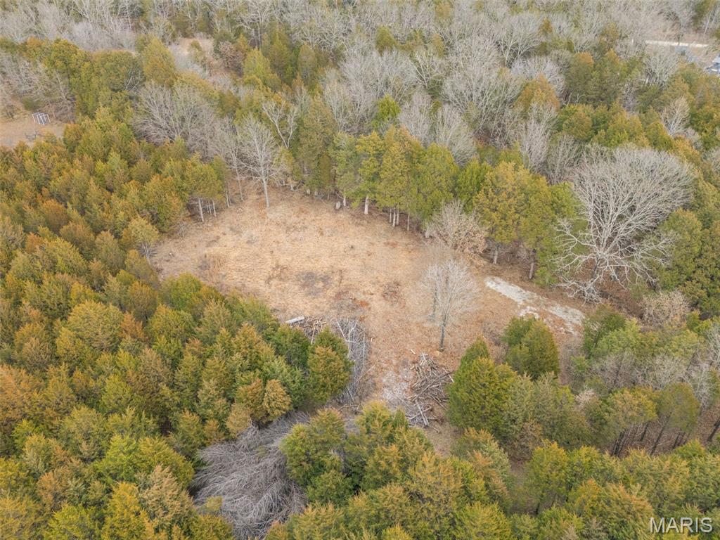 Cedr/Bent Crk - Land