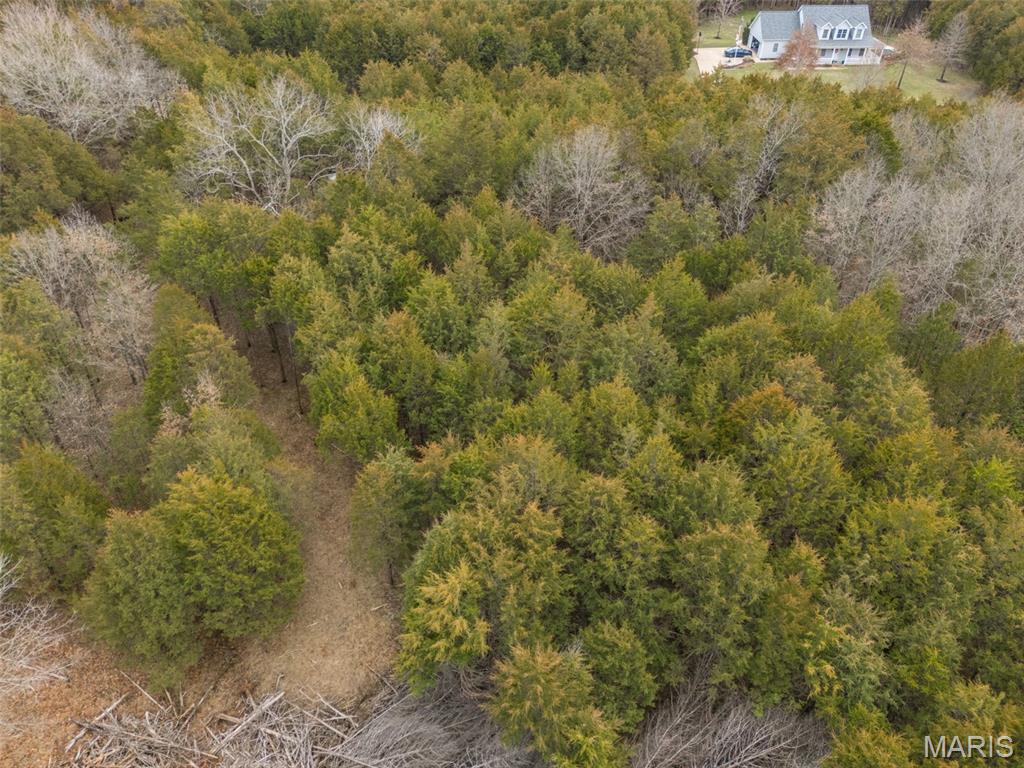 Cedr/Bent Crk - Land