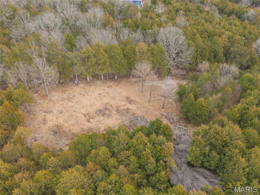 Cedr/Bent Crk - Land