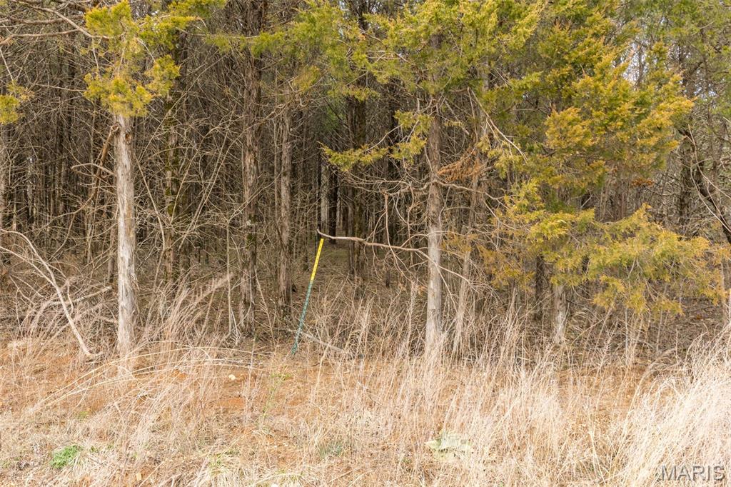 Cedr/Bent Crk - Land