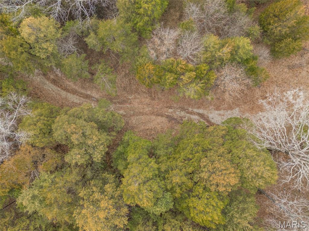 Cedr/Bent Crk - Land