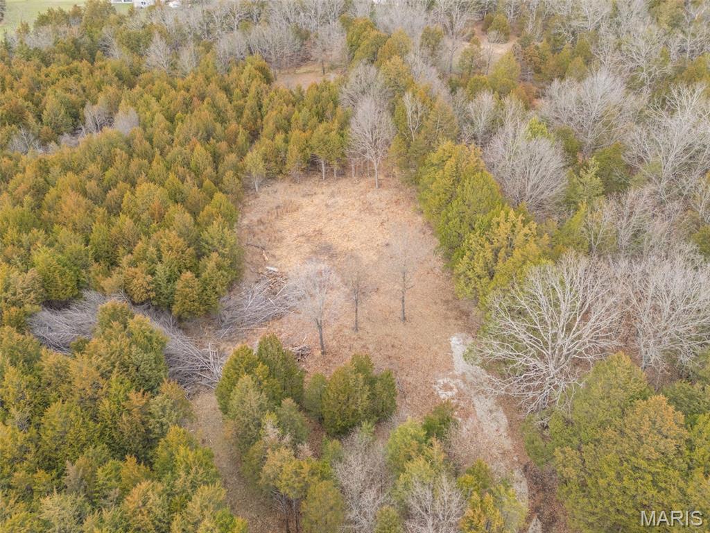 Cedr/Bent Crk - Land