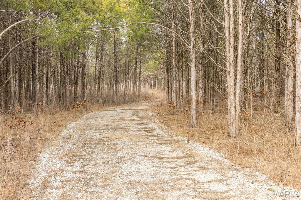 Cedr/Bent Crk - Land