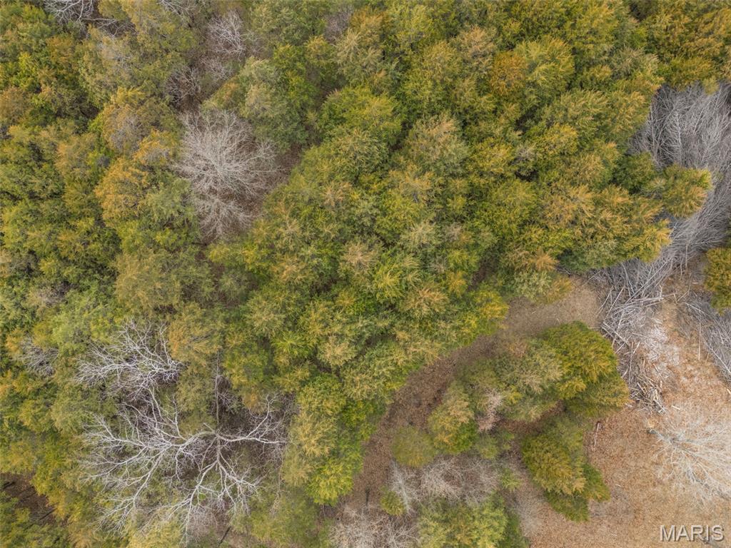 Cedr/Bent Crk - Land