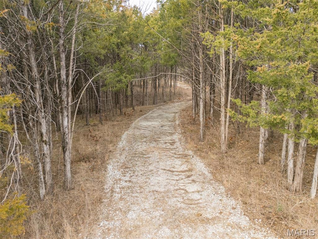 Cedr/Bent Crk - Land