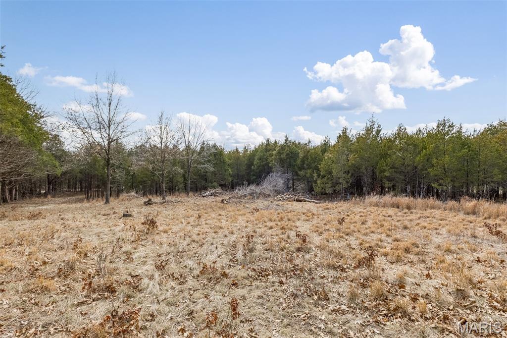 Cedr/Bent Crk - Land