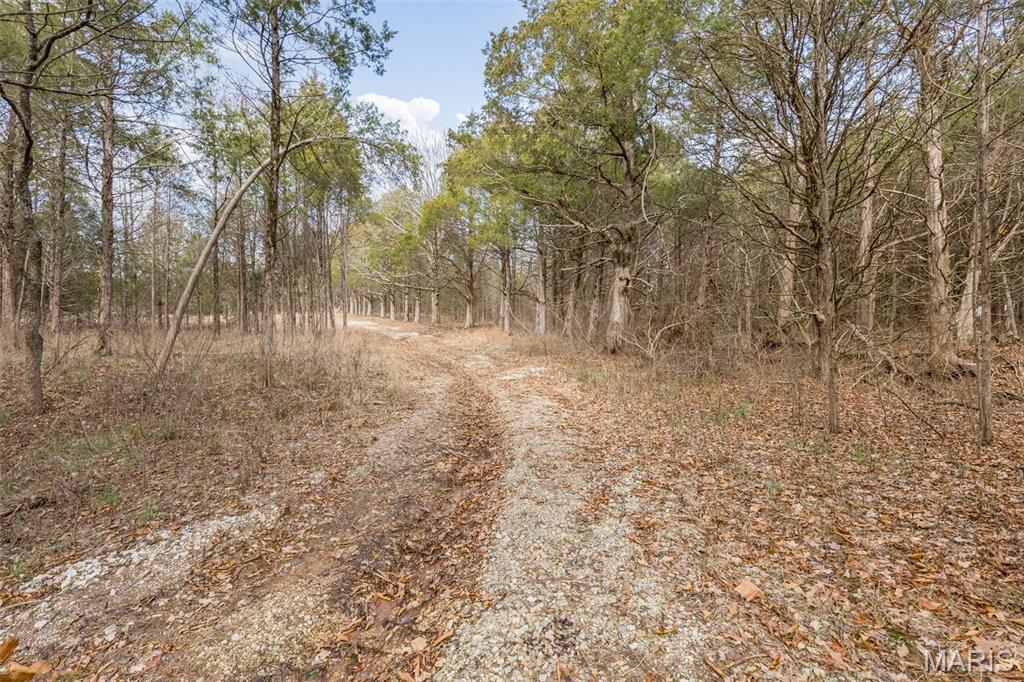 Cedr/Bent Crk - Land