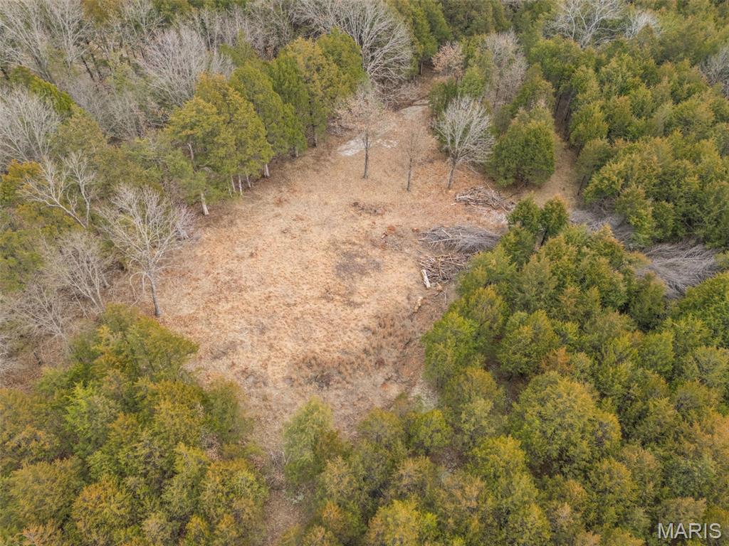 Cedr/Bent Crk - Land